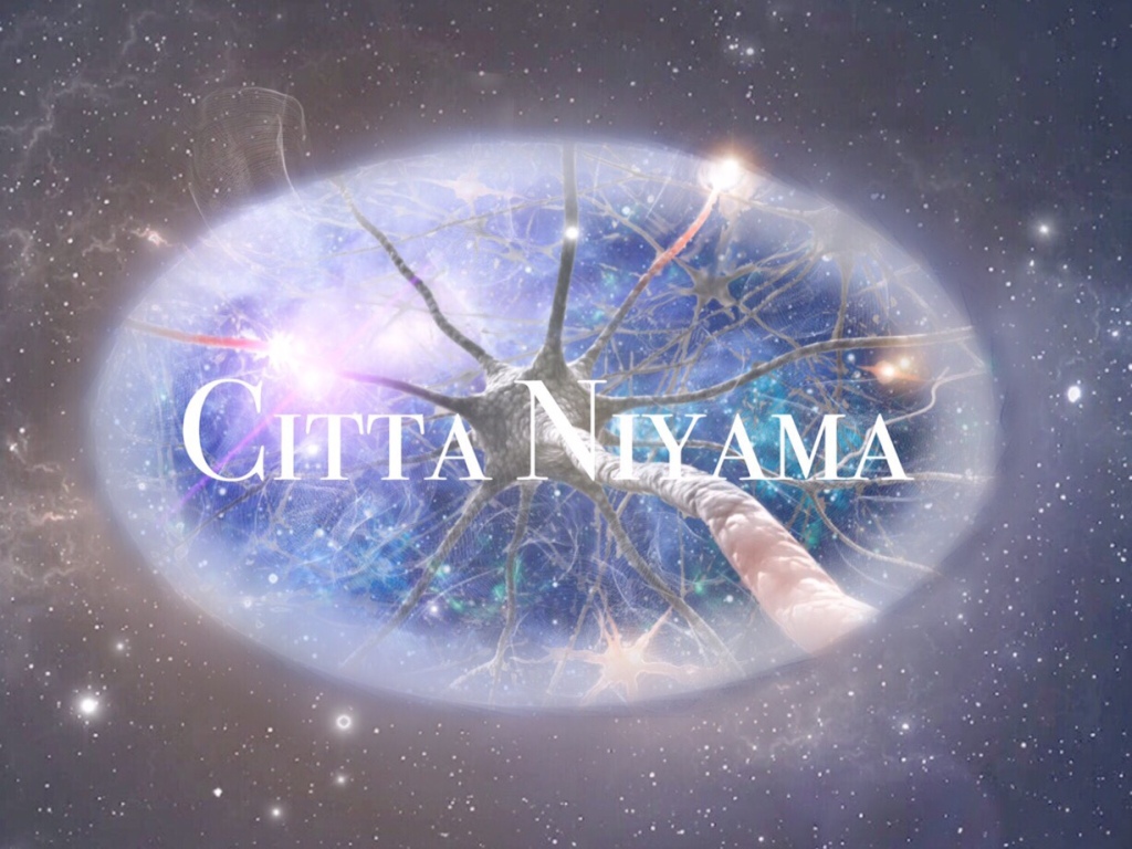 Citta Niyama - Law of Mind 