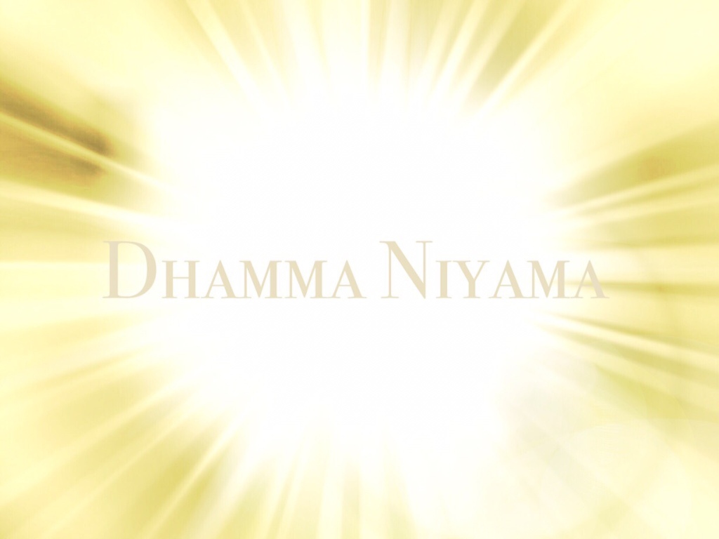 Dhamma Niyama - Law of Perfection 